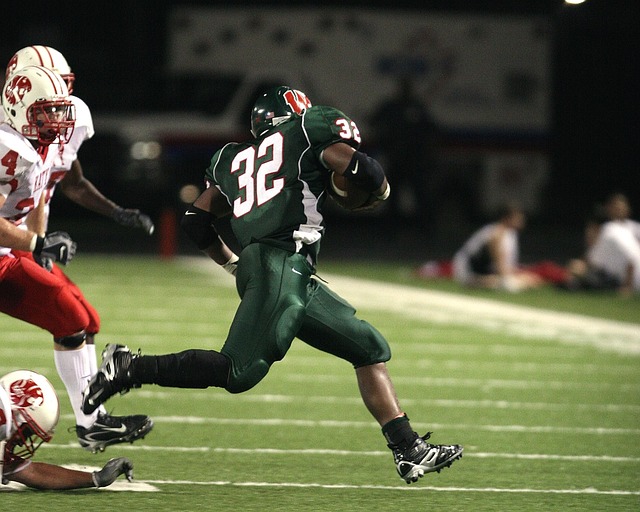 育赛事的公 育赛事的公